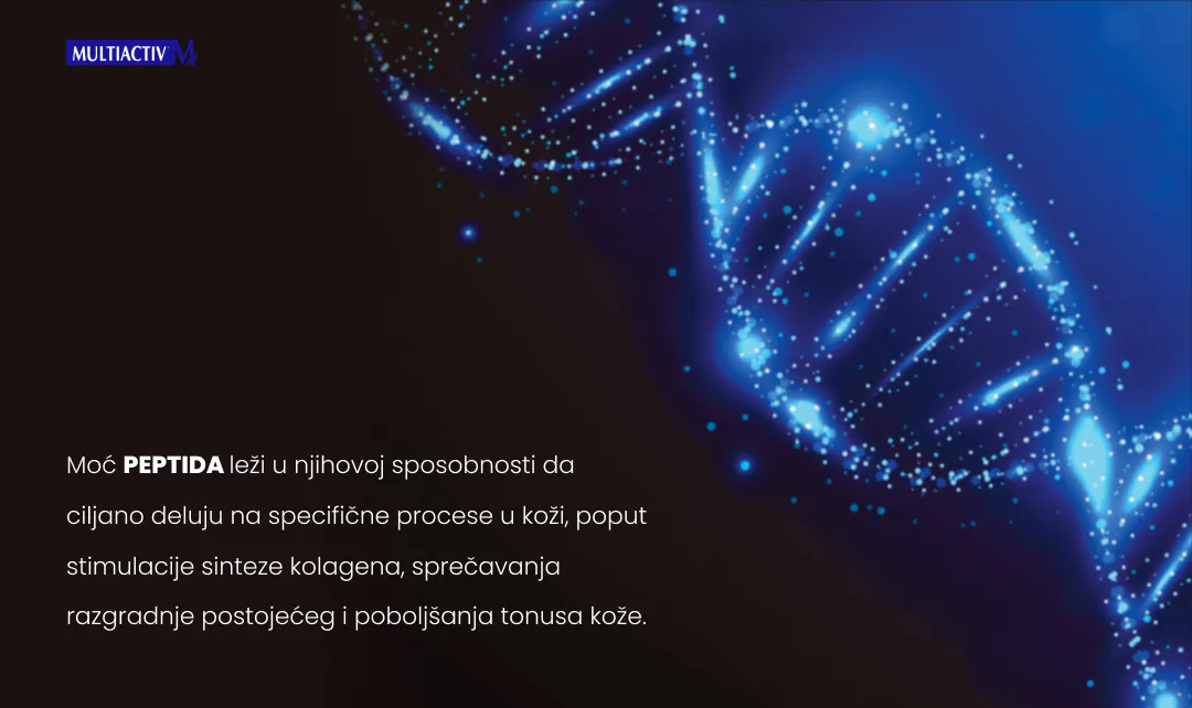 Peptidi: Najnovije otkriće za podmlađivanje kože! 2 Blog Anti Age 2
